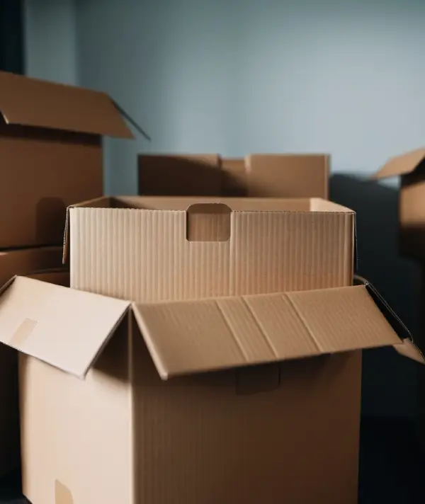 Cardboard Boxes